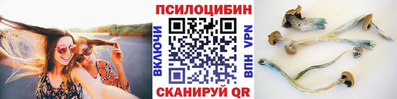 mega рабочий сайт купить наркотик Ступино Псилоцибиновые грибы прущие грибы
