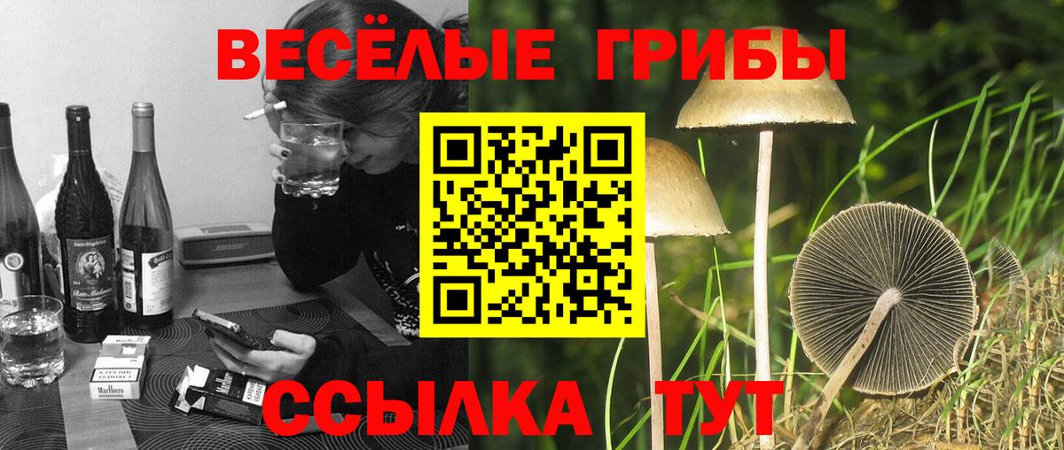 Ступино  закладки  Вход с VPN  Псилоцибиновые грибы мицелий 